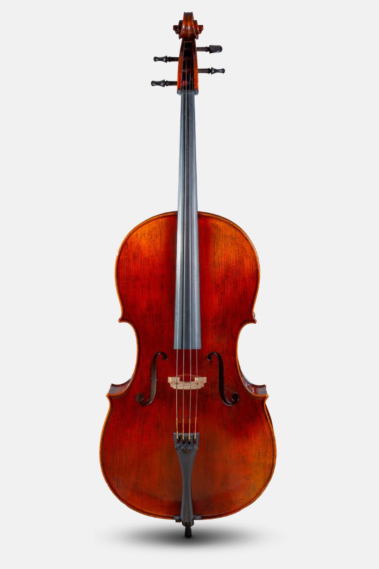 Violonchelo Bj&ouml;rn Stoll Guadagnini